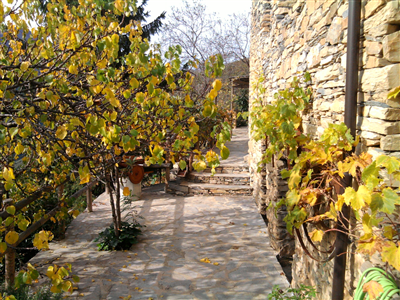 Le frazioni di Montalto Carpasio