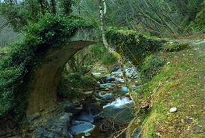 torrente